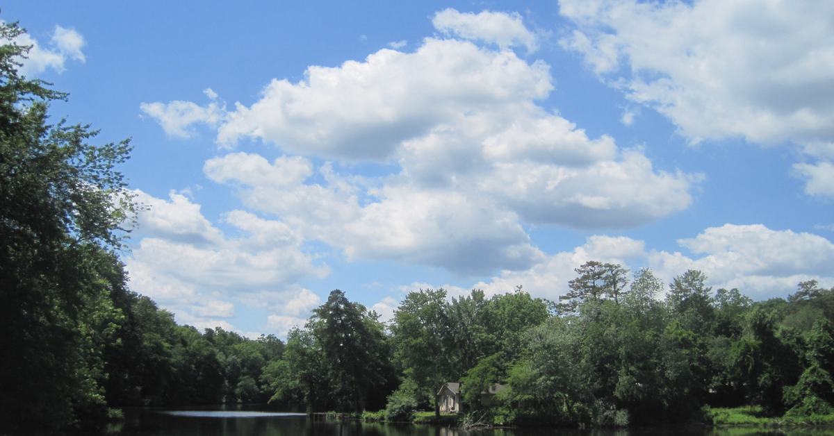Big Pine Lake in Browns Mills, open water with a pine-lined far shore