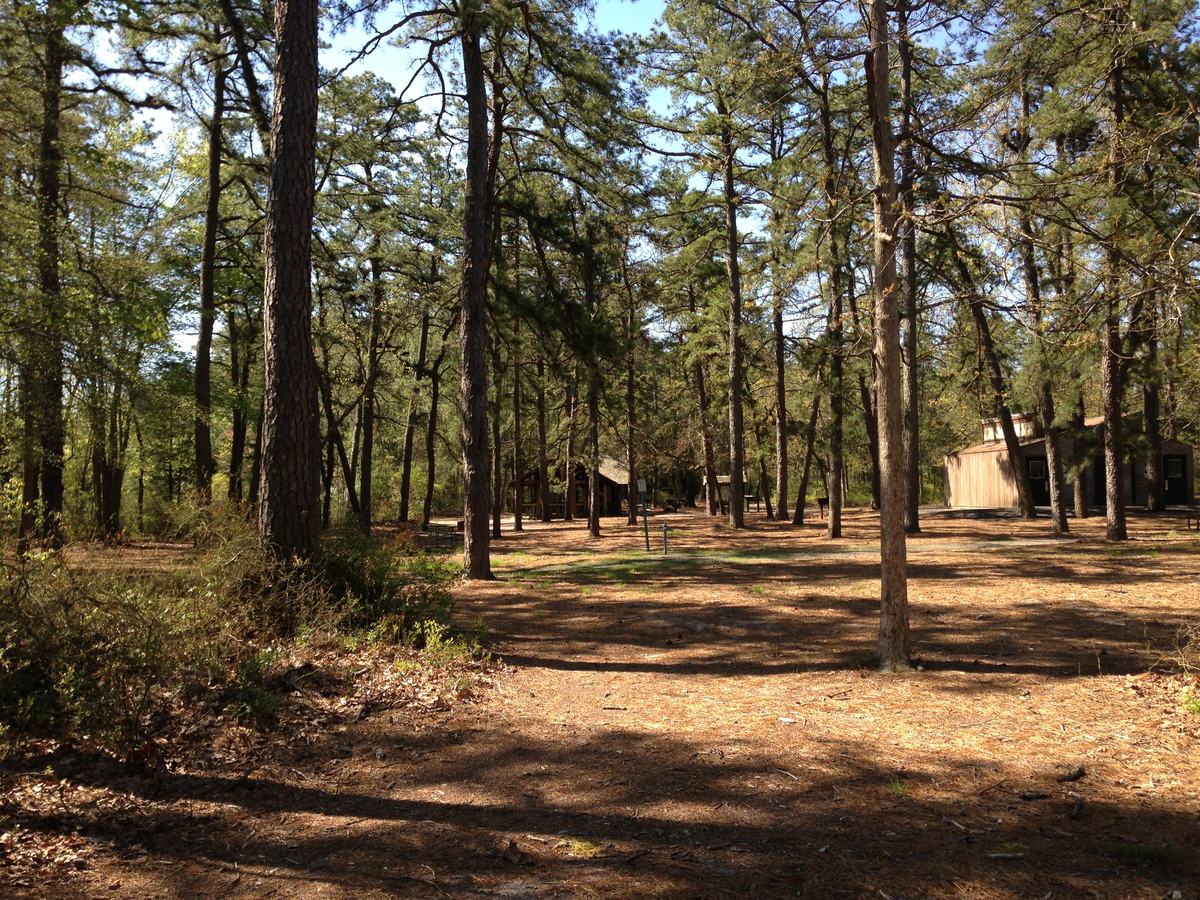 Cedar-dark water of Pakim Pond ringed by pitch pines, seen across the picnic area