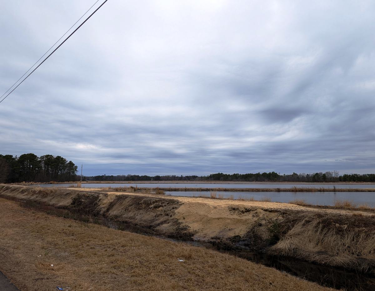 A flooded cranberry bog at Whitesbog seen from County Route 530